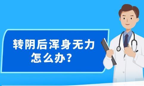 2025新澳精准正版免费大全和警惕虚假宣传-全面释义、解释与落实